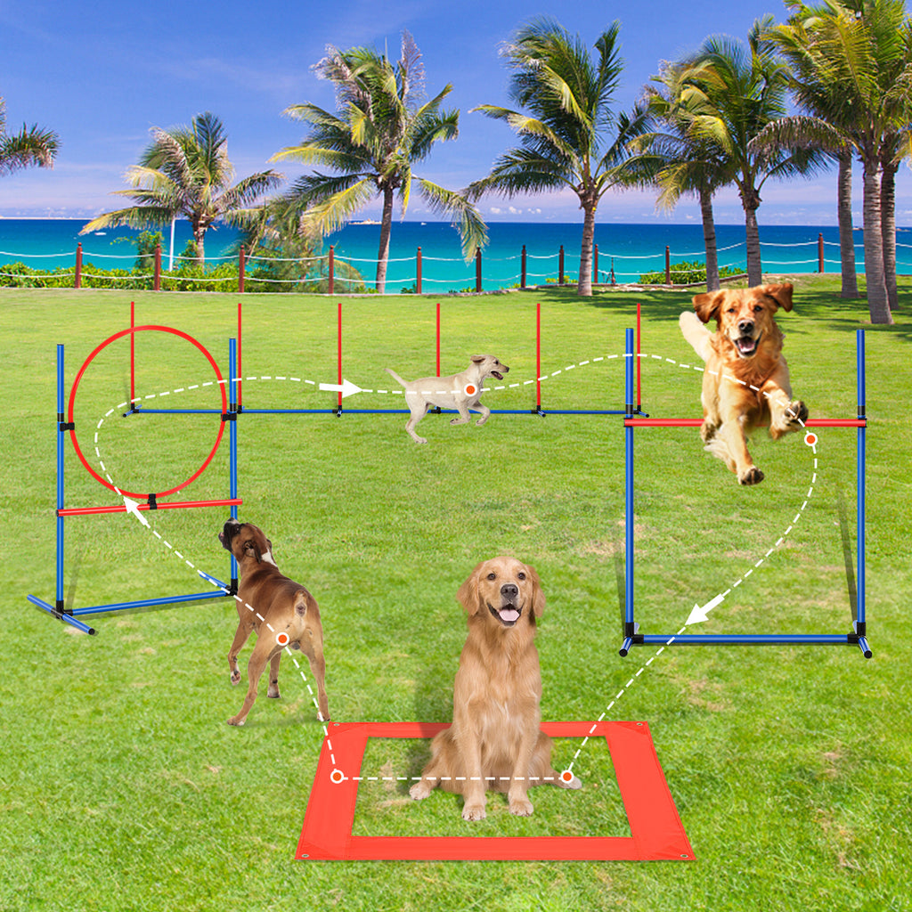Hundegeschicklichkeit Trainingsausrüstung, 4 Stk. für Haustiere und Zuhause – Detailansicht 2
