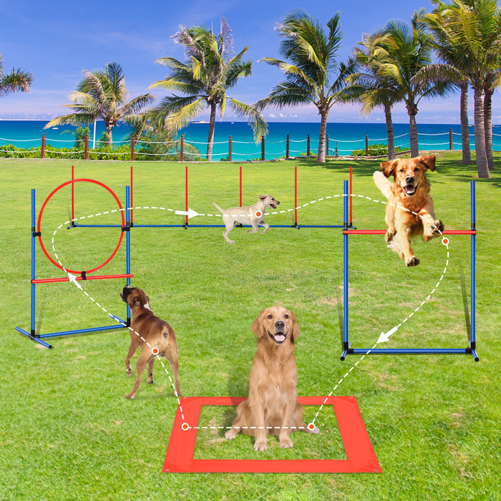 Hundegeschicklichkeit Trainingsausrüstung, 4 Stk. für Haustiere und Zuhause – Detailansicht 2