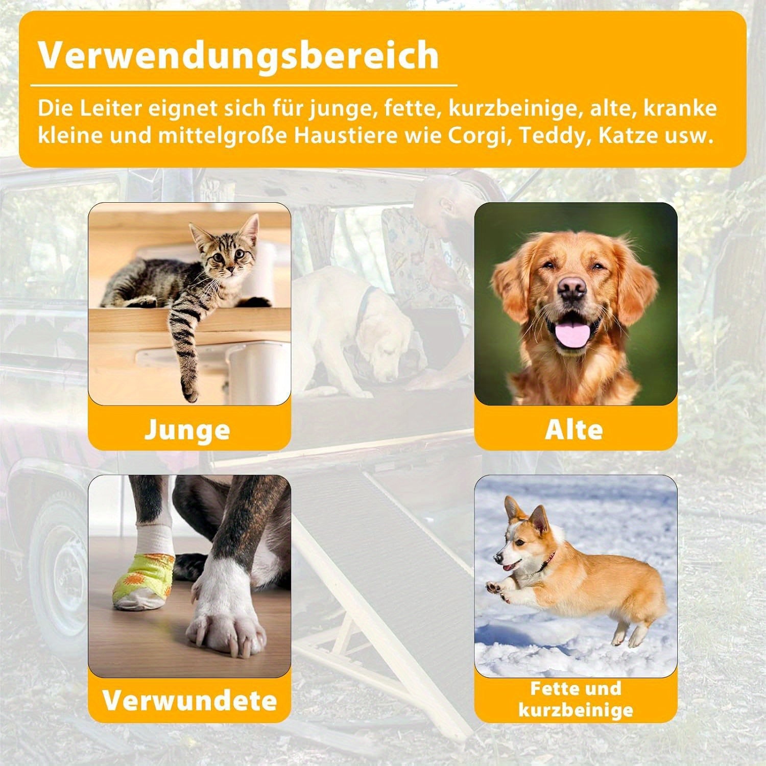 Hundehilfe, rutschfest für Haustiere und Zuhause – Detailansicht 6