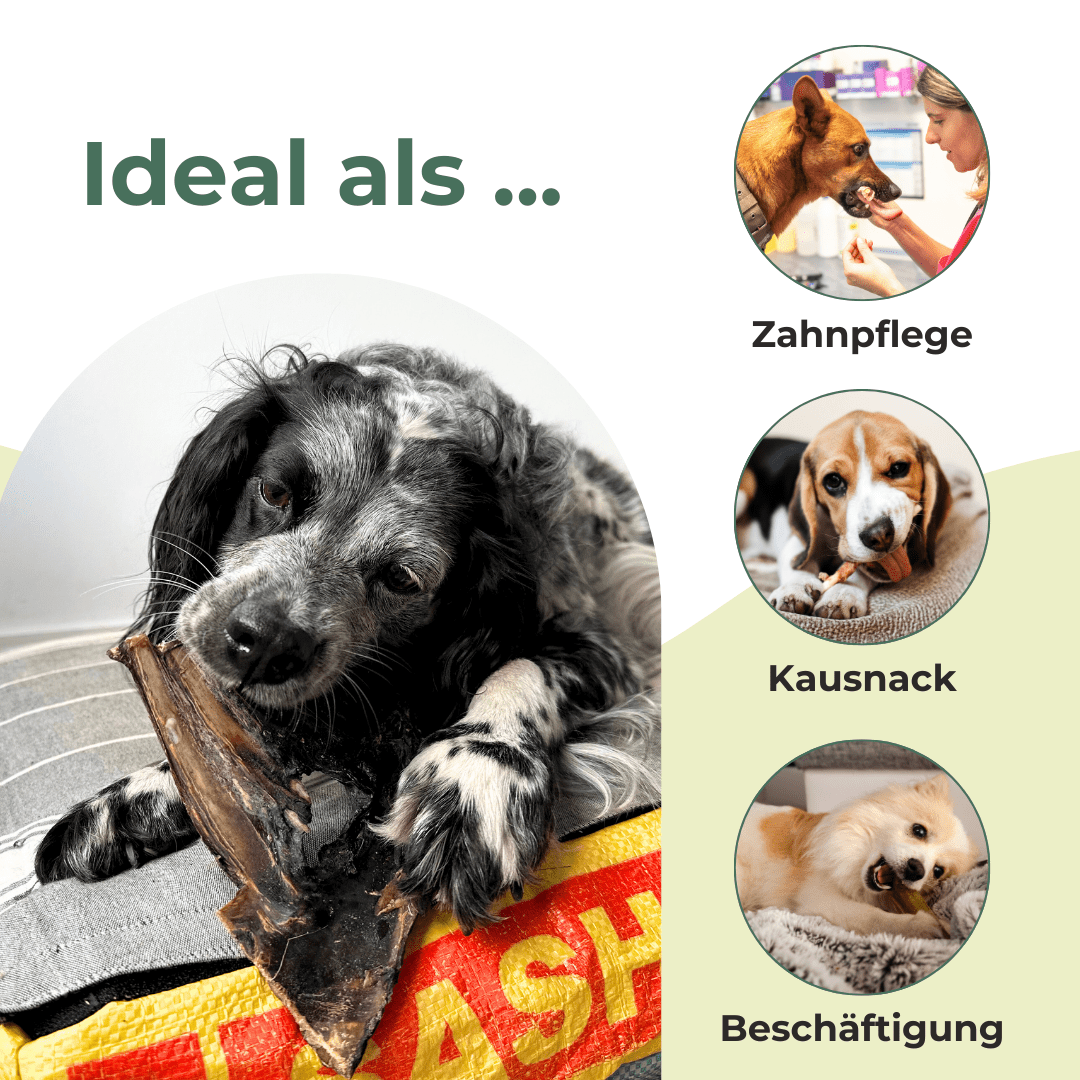 Hundesnack, 300g für Haustiere und Tierbedarf – Detailansicht 10