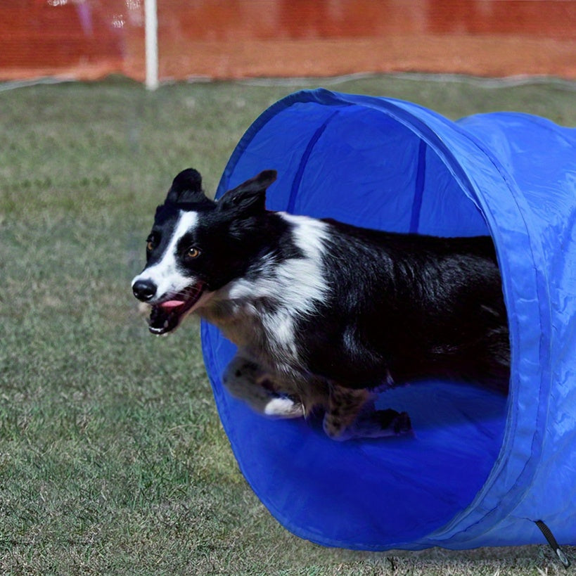 Hundesport Agility Set beinhaltet Hürden für Haustiere und Zuhause – Hauptansicht
