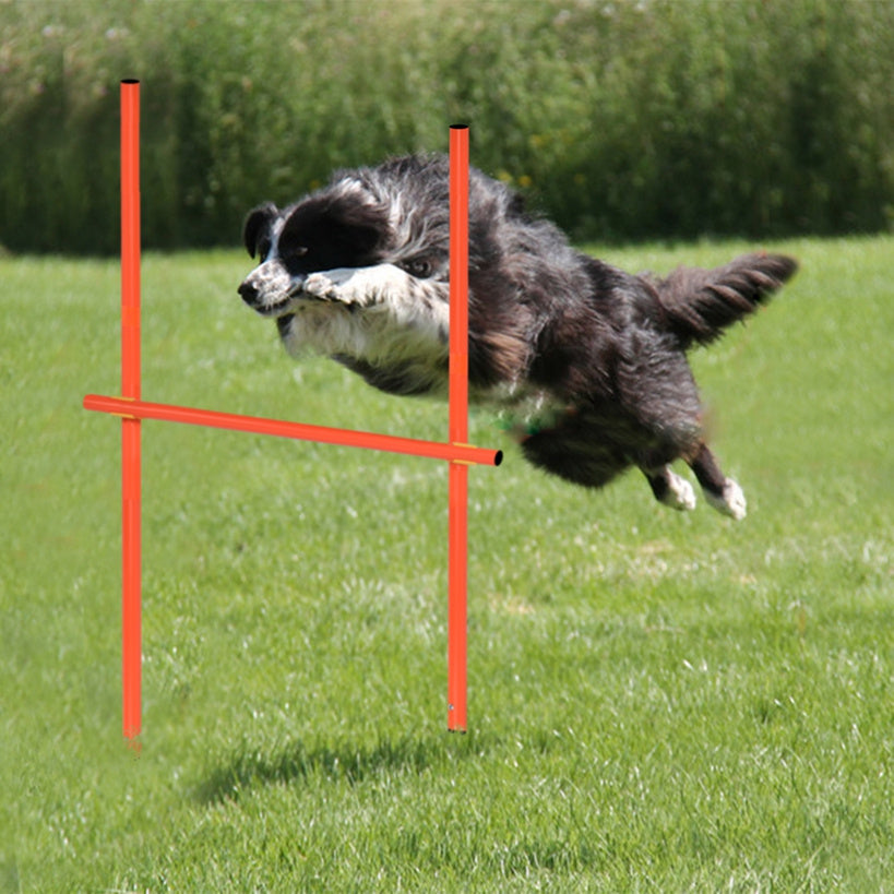 Hundesport Agility Set beinhaltet Hürden für Haustiere und Zuhause – Detailansicht 5