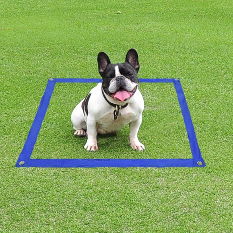 Hundesport Agility Set beinhaltet Hürden für Haustiere und Zuhause – Detailansicht 6