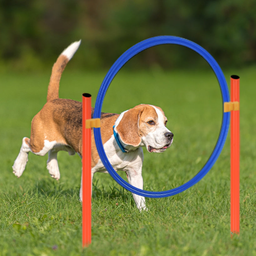 Hundesport Agility Set beinhaltet Hürden für Haustiere und Zuhause – Detailansicht 7
