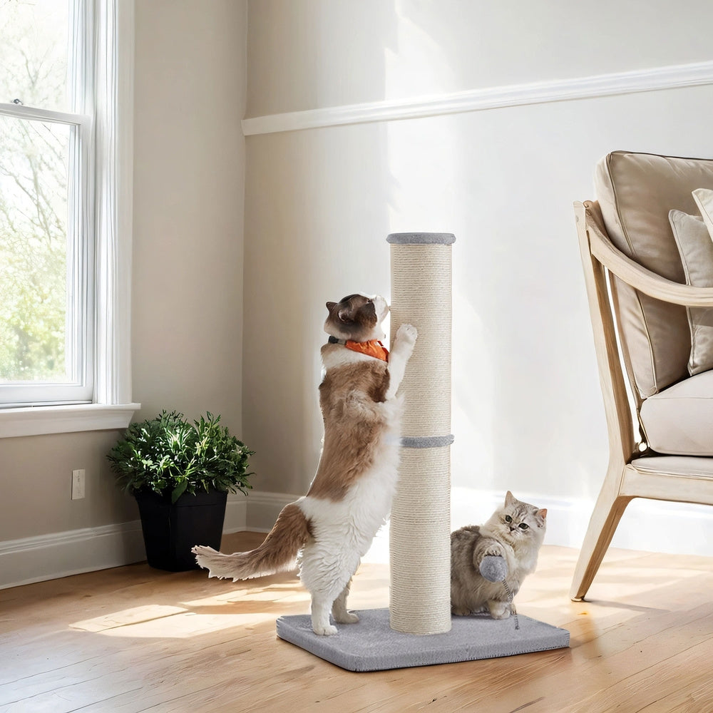 Katzen-Kratzbaum, 13 cm für Haustiere und Zuhause – Detailansicht 12