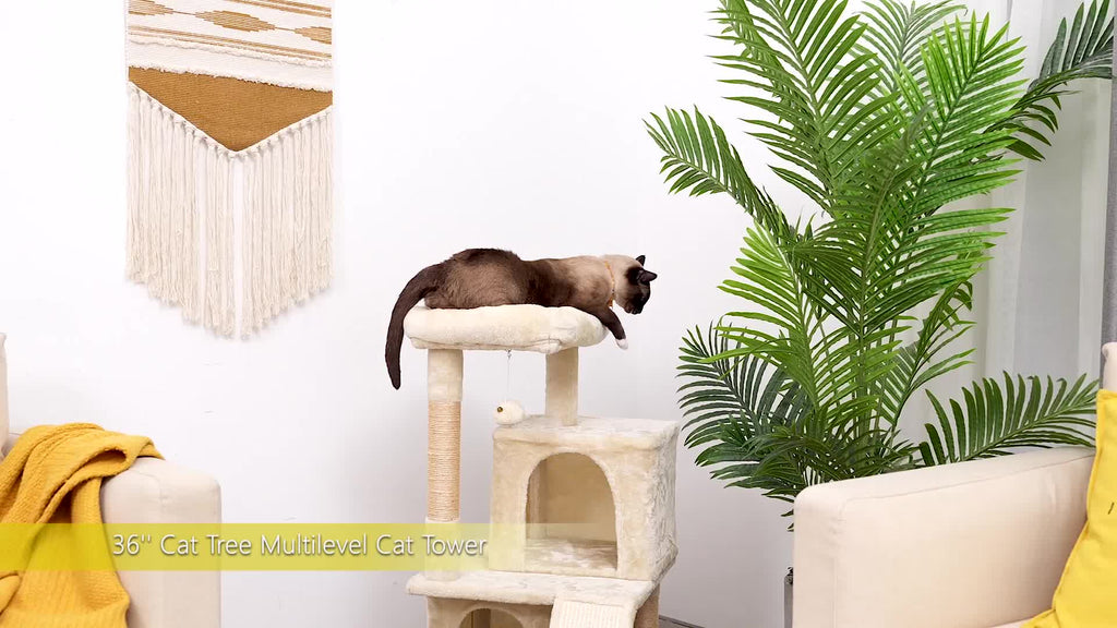 Katzen-Kratzbaum, Beige für Haustiere und Zuhause – Detailansicht 27