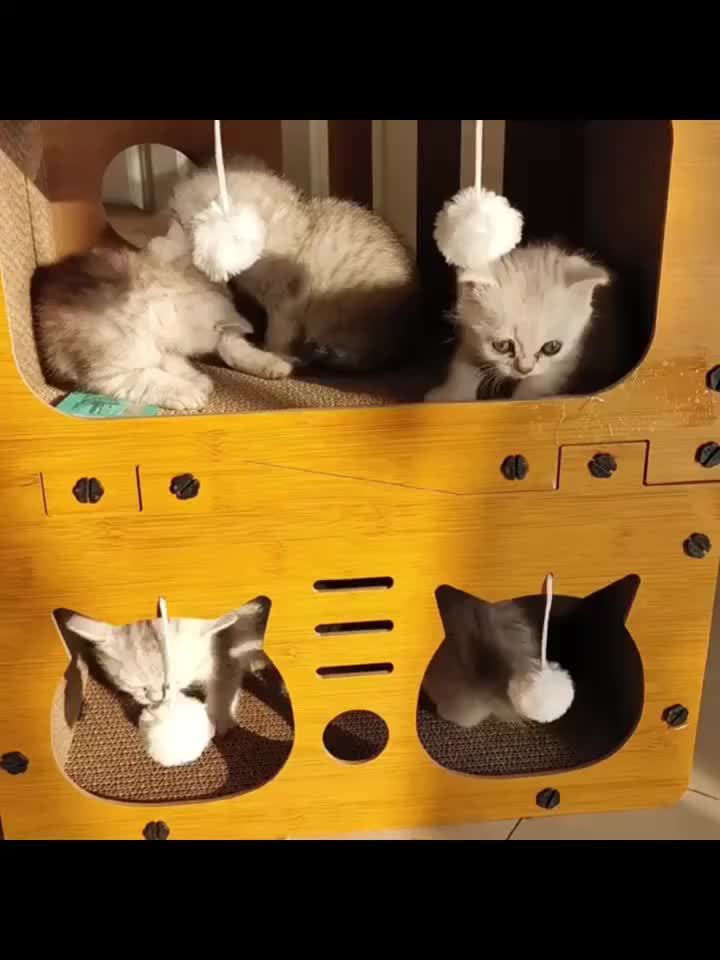 Katzen-Kratzbrett, 11 kg für Schlafzimmer und Bett – Detailansicht 11