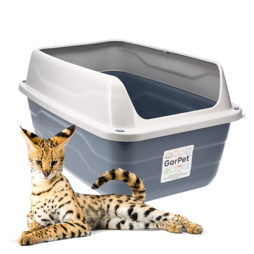 Katzenklo XXL, Katzentoilette mit XXL Rand für Haustiere und Zuhause – Hauptansicht