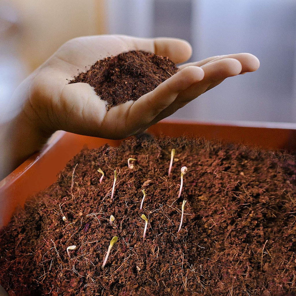 Kokoserde, 5 kg für Garten und Terrasse – Detailansicht 5
