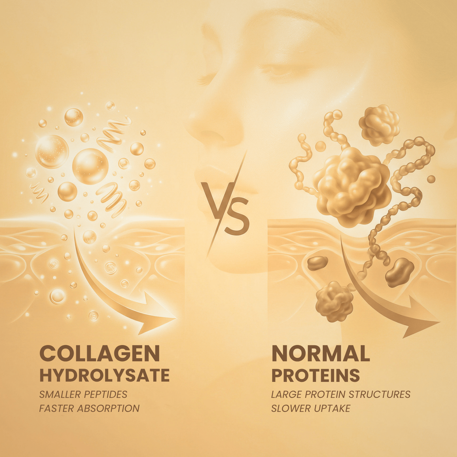 Nahrungsergänzungsmittel, 2 & 3 Collagen Pulver Kollagenpulver hochdosiert für Alltag – Detailansicht 19