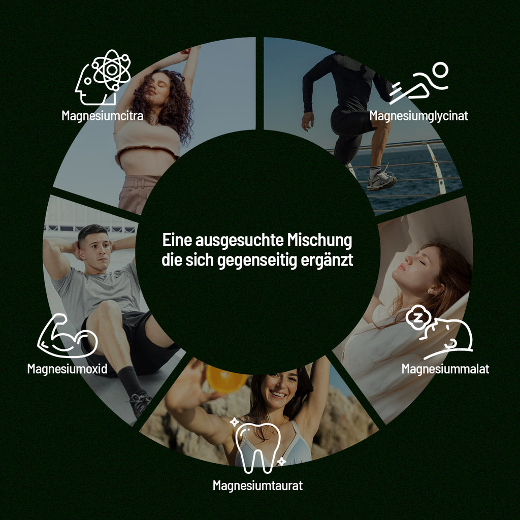 Nahrungsergänzungsmittel, 2er Pack für Alltag und Pflege zu Hause – Detailansicht 2