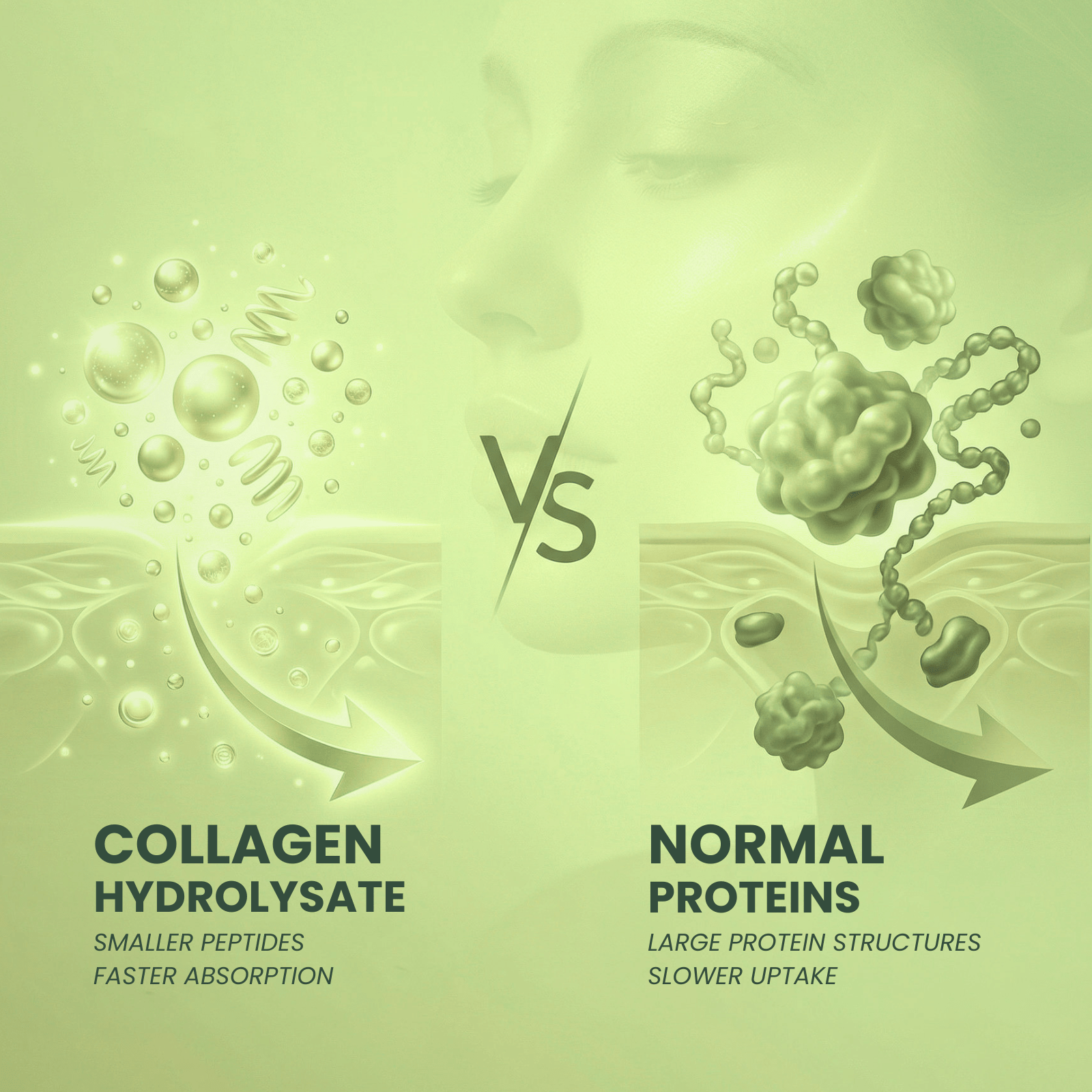 Nahrungsergänzungsmittel, AURAVIA® Kollagen Pulver 450 g Collagen Hydrolysat für Pflege zu Hause – Detailansicht 9
