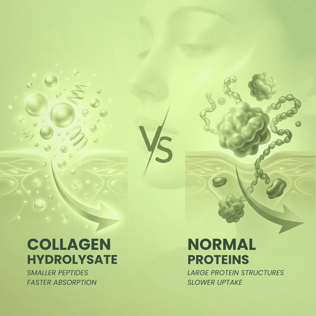 Nahrungsergänzungsmittel, AURAVIA® Kollagen Pulver 450 g Collagen Hydrolysat für Pflege zu Hause – Detailansicht 18