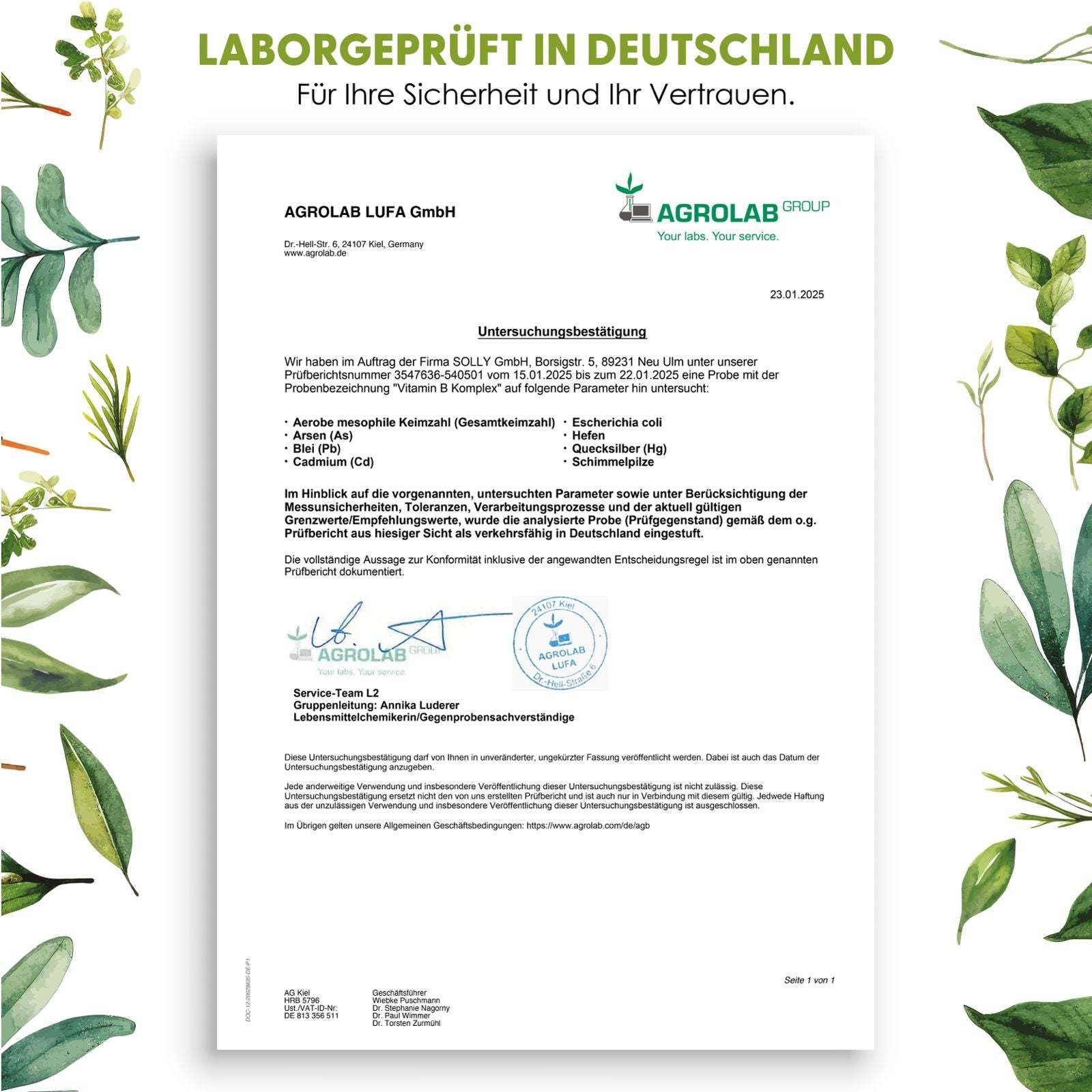 Nahrungsergänzungsmittel, B12) für Energie für Energie und Pflege zu Hause – Detailansicht 5