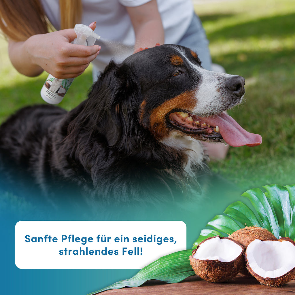 napfpower® Fellspray Hund, 250 ml für Haustiere und Zuhause – Detailansicht 3