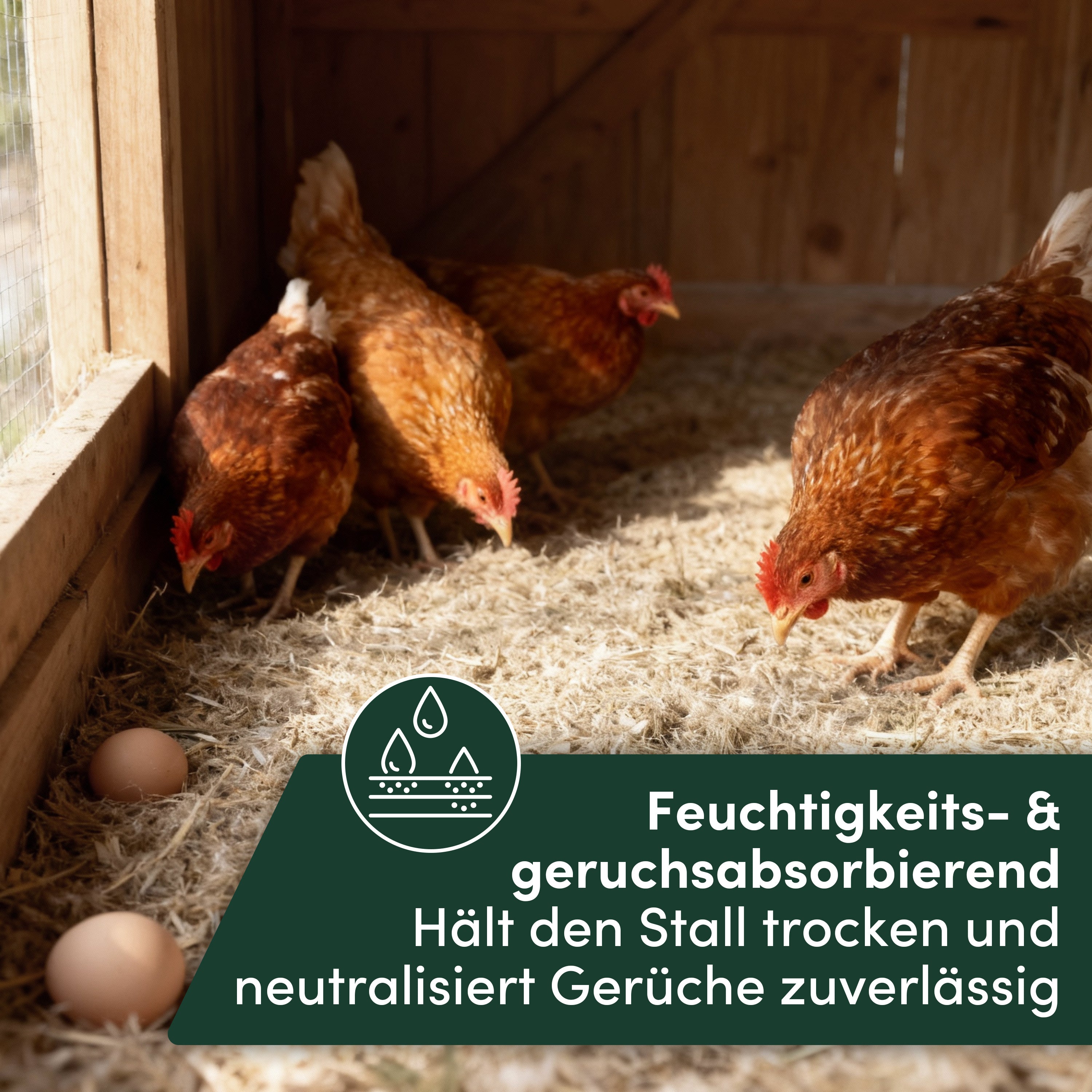 napfpower® Hanfeinstreu, 14 kg für Hühner und Kleintiere – Detailansicht 6