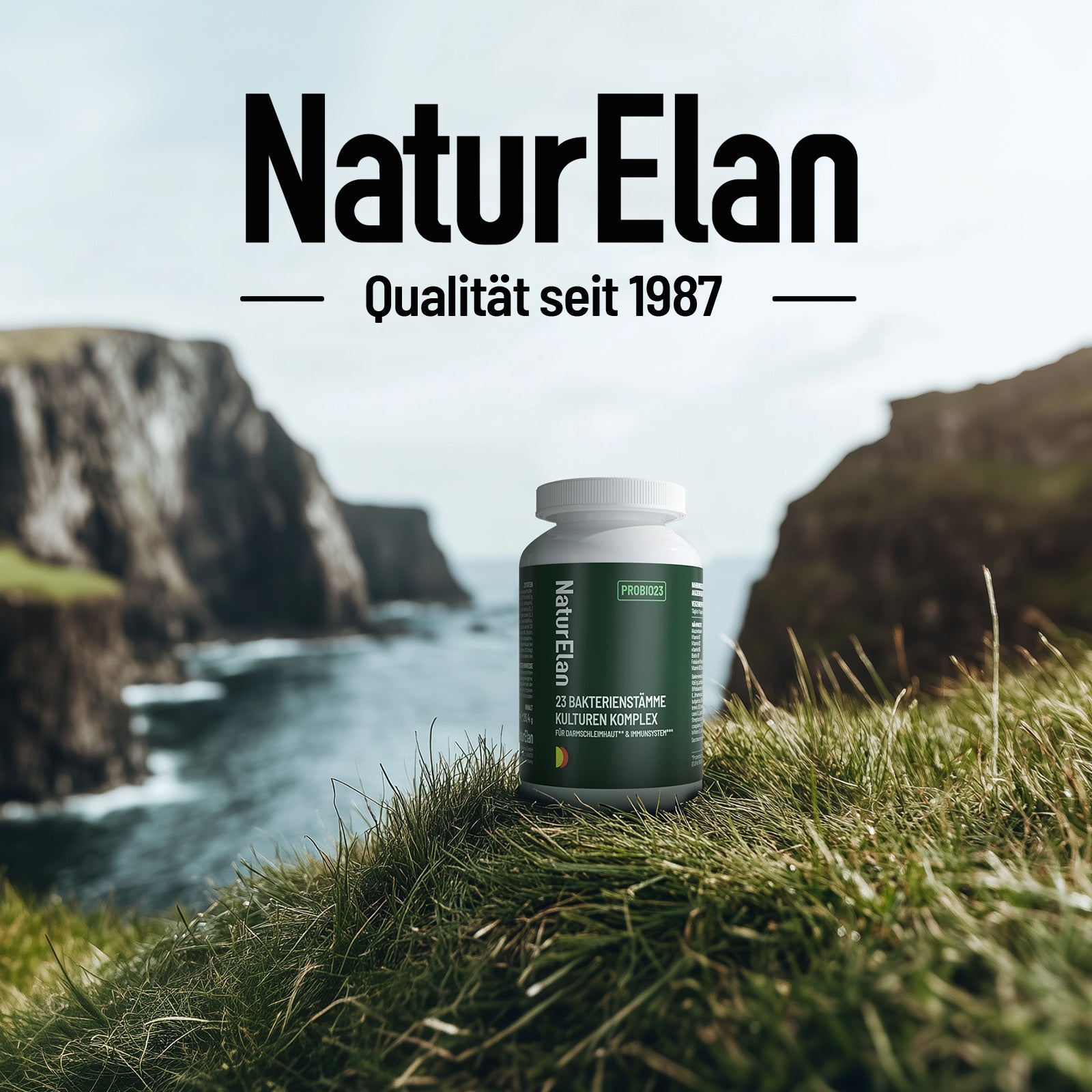 NaturElan Vegane Kapseln für Pflege zu Hause und Alltag – Detailansicht 3