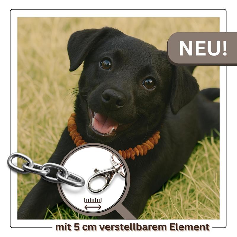 PetLove Bernsteinkette, 70 cm für Haustiere und Zuhause – Detailansicht 6