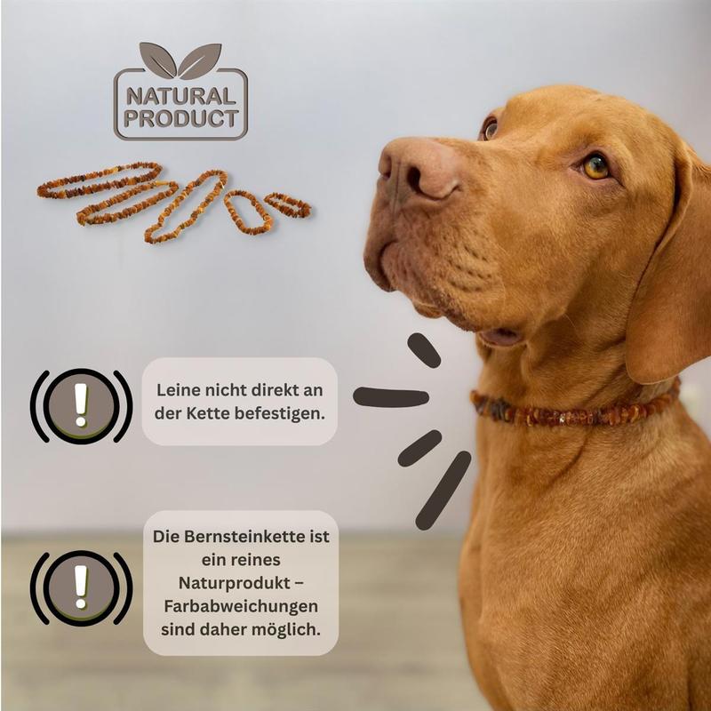 PetLove Bernsteinkette, 70 cm für Haustiere und Zuhause – Detailansicht 9