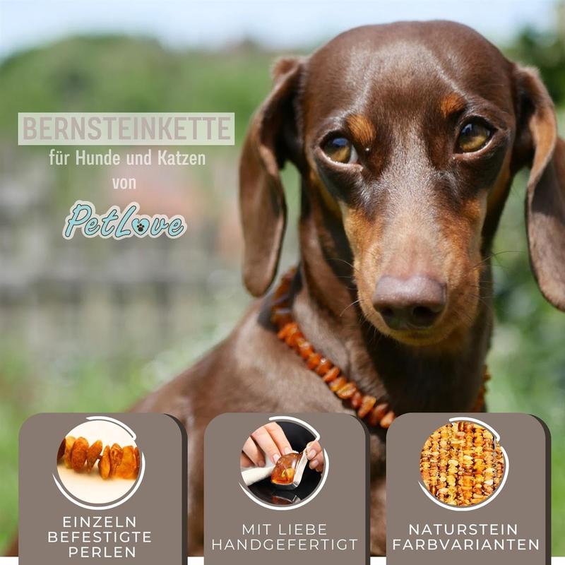 PetLove Bernsteinkette, 70 cm für Haustiere und Zuhause – Detailansicht 11