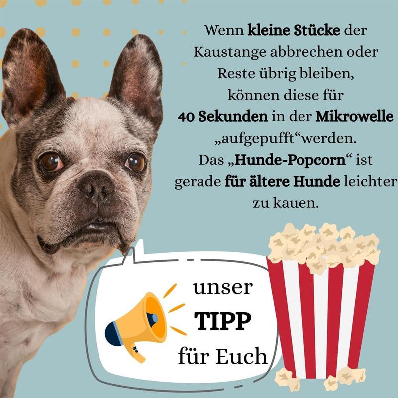 PetLove Hartkäse, 3er Pack für Haustiere und Zuhause – Detailansicht 5