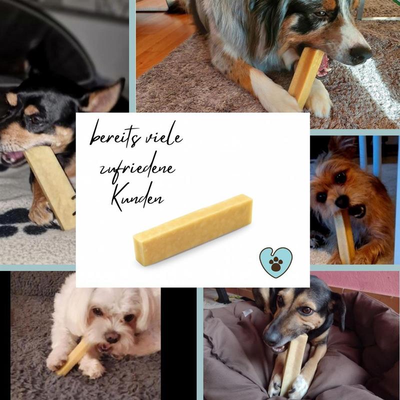 PetLove Hartkäse, 3er Pack für Haustiere und Zuhause – Detailansicht 7