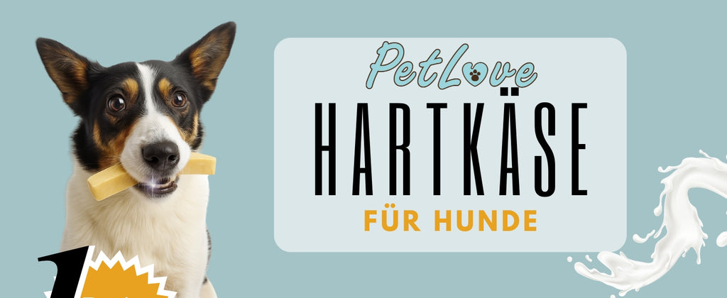 PetLove Hartkäse, 3er Pack für Haustiere und Zuhause – Detailansicht 10