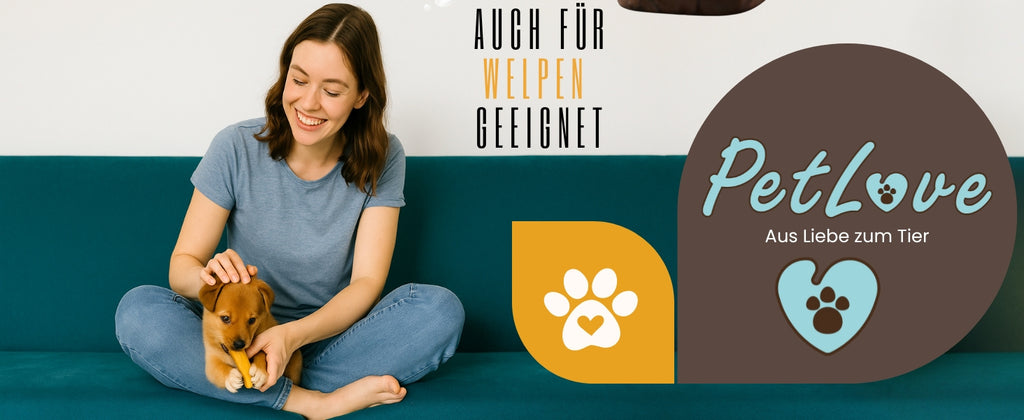 PetLove Hartkäse, 3er Pack für Haustiere und Zuhause – Detailansicht 13