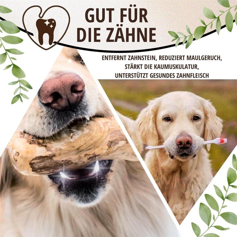 PetLove Kaffeeholz, M für Haustiere und Zuhause – Detailansicht 4