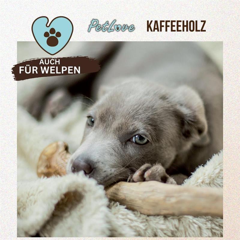 PetLove Kaffeeholz, M für Haustiere und Zuhause – Detailansicht 15