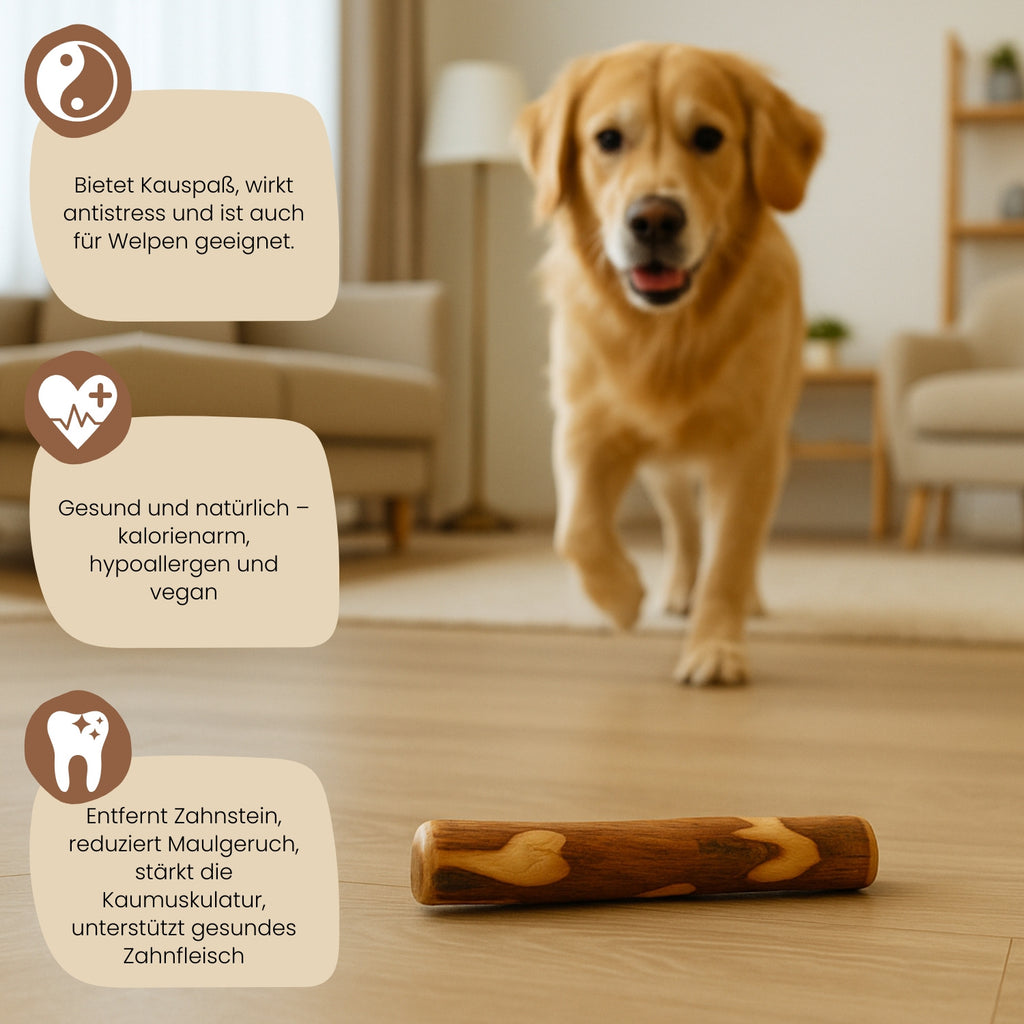 PetLove Olivenholz 2er-Pack, S Mit Olivenöl für Haustiere und Zuhause – Detailansicht 2