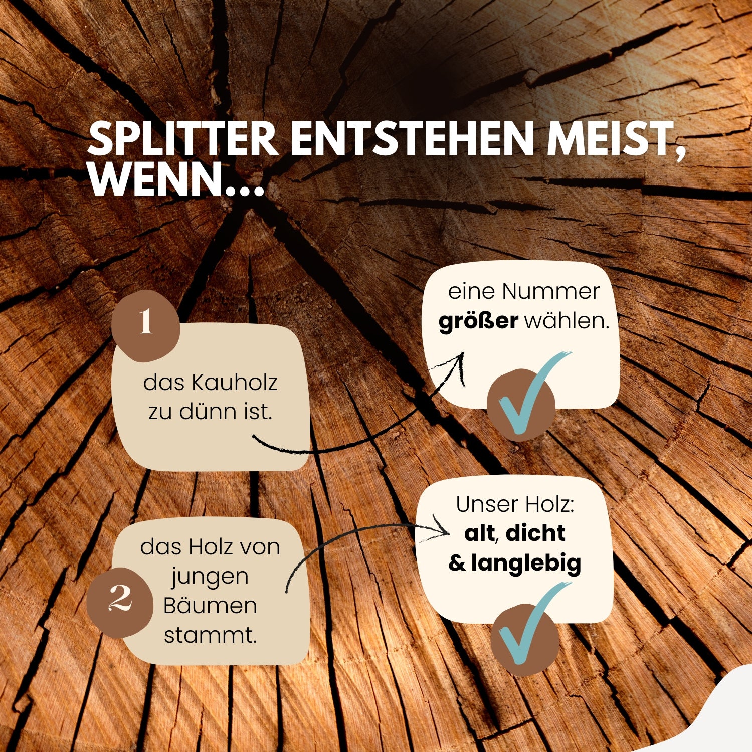 PetLove Olivenholz 2er-Pack, S Mit Olivenöl für Haustiere und Zuhause – Detailansicht 5