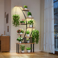 Pflanzenständer, 160 cm für Zuhause und Wohnzimmer – Detailansicht 9