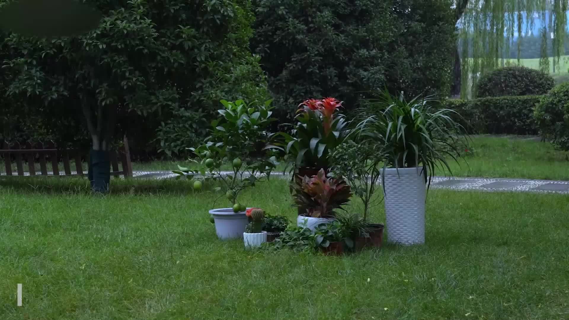 Pflanzenwinterquartier, 1 Stk für Garten und Terrasse – Detailansicht 10