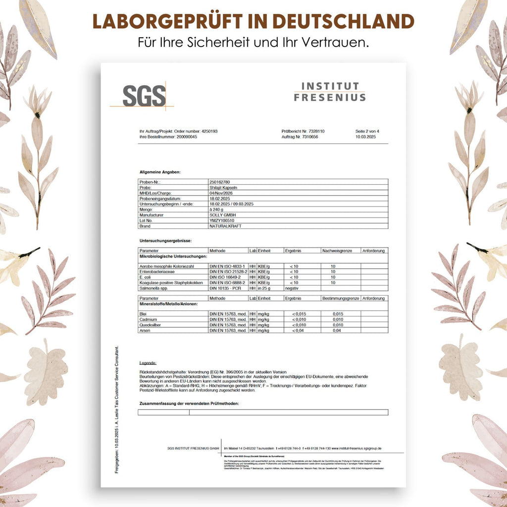Pflanzliches Nahrungsergänzungsmittel, Hochdosiert mit 1300mg pro Tagesdosis für Pflege zu Hause und Alltag – Detailansicht 4