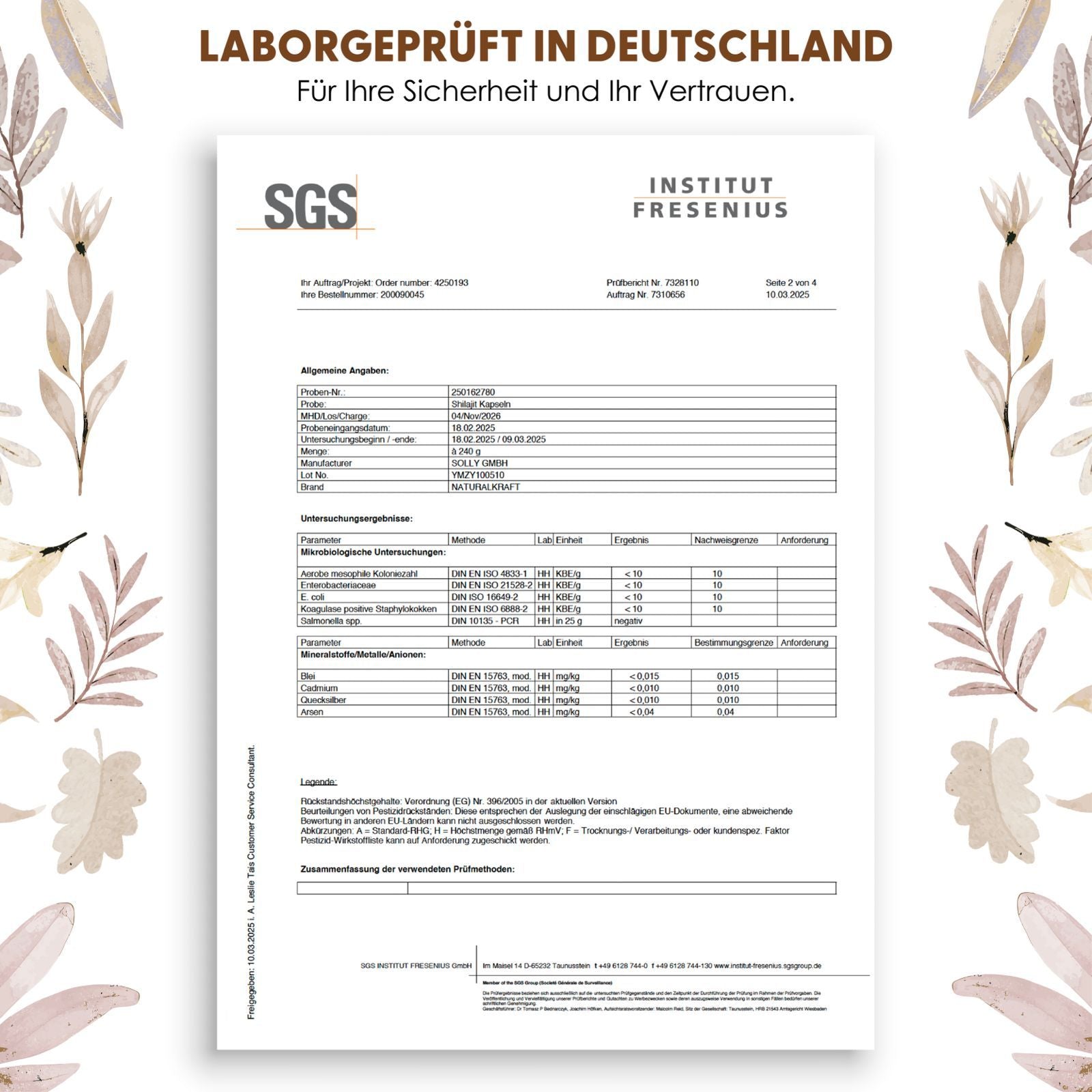 Pflanzliches Nahrungsergänzungsmittel, Hochdosiert mit 1300mg pro Tagesdosis für Pflege zu Hause und Alltag – Detailansicht 4