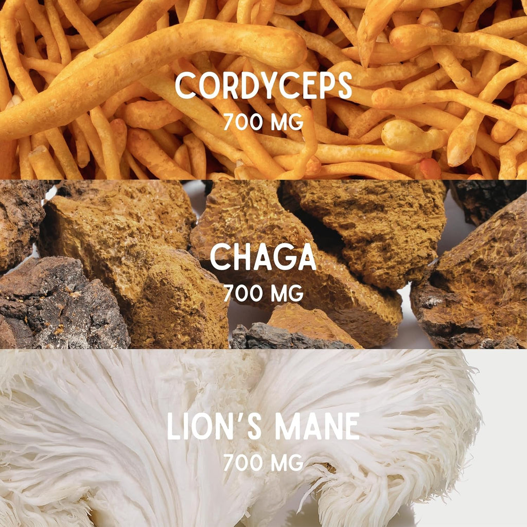 Pilze - Adaptogene Pilze (Cordyceps, Wie auf dem Bild für Alltag und Zuhause – Detailansicht 2