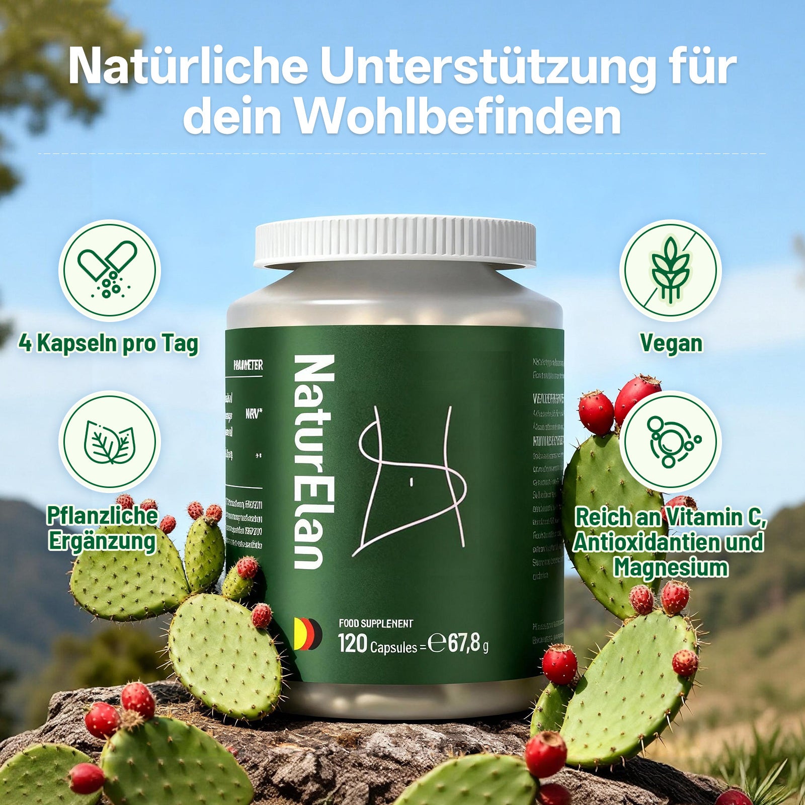 Prickly Pear Extract Kapseln für kalorienbewusste Ernährungsplanung und eine bewusste – Detailansicht 2