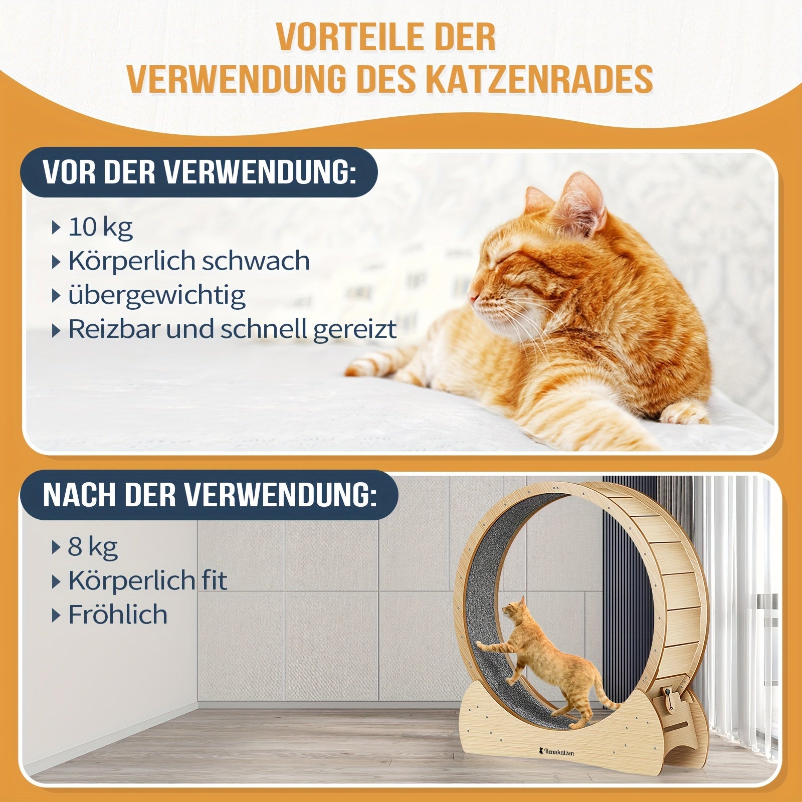 Rennkatzen Katzen Laufrad, Holzfarben für Zuhause und Haustiere – Detailansicht 2