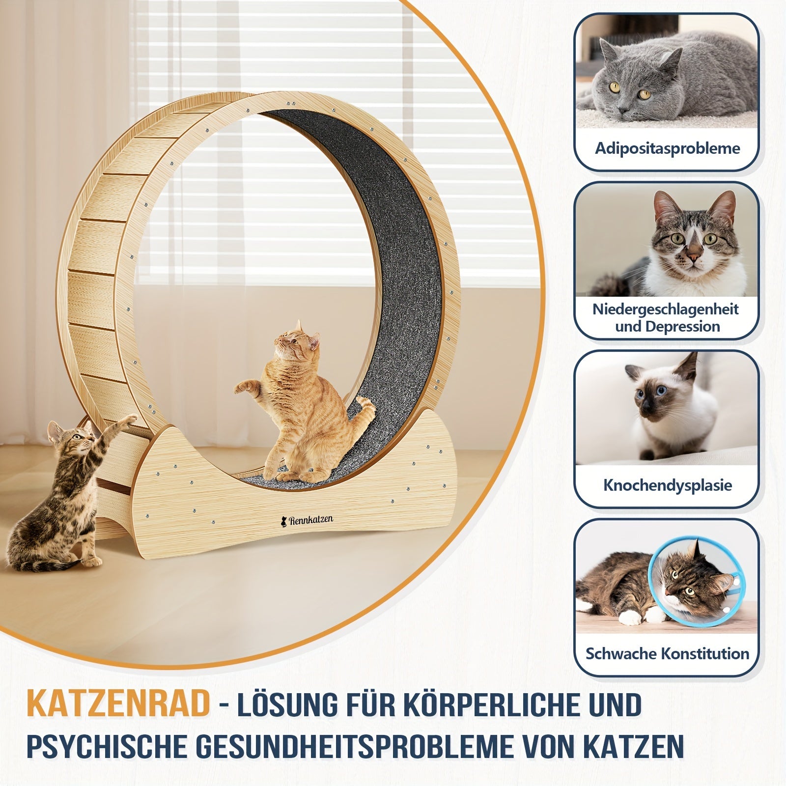 Rennkatzen Katzen Laufrad, Weiß für Haustiere – Hauptansicht