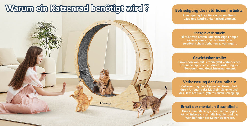 Rennkatzen Katzen Laufrad, Weiß für Haustiere – Detailansicht 14