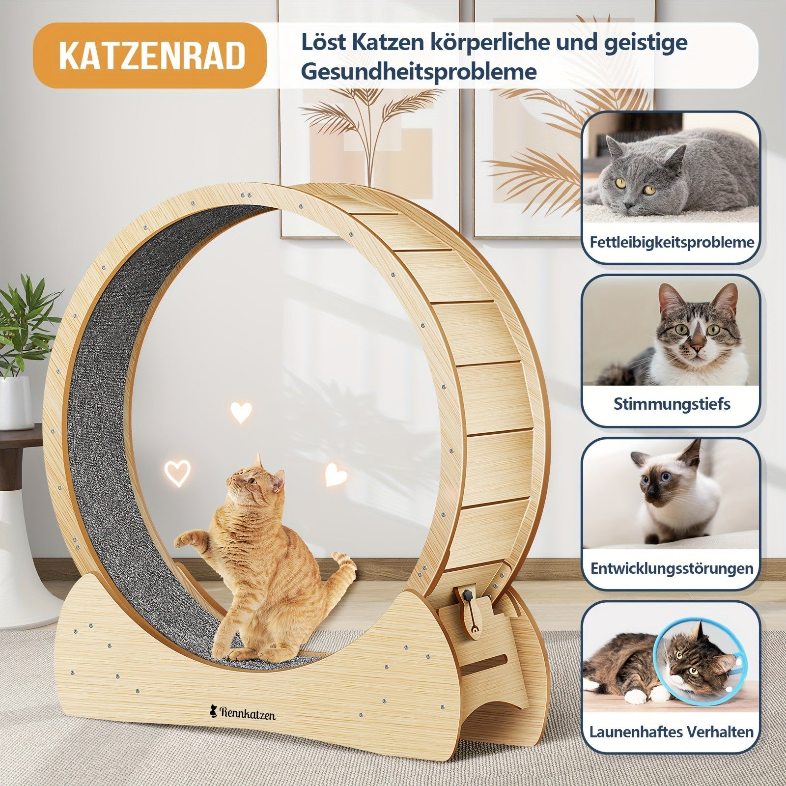 Rennkatzen Katzen Laufrad, Weiß für Haustiere – Detailansicht 15