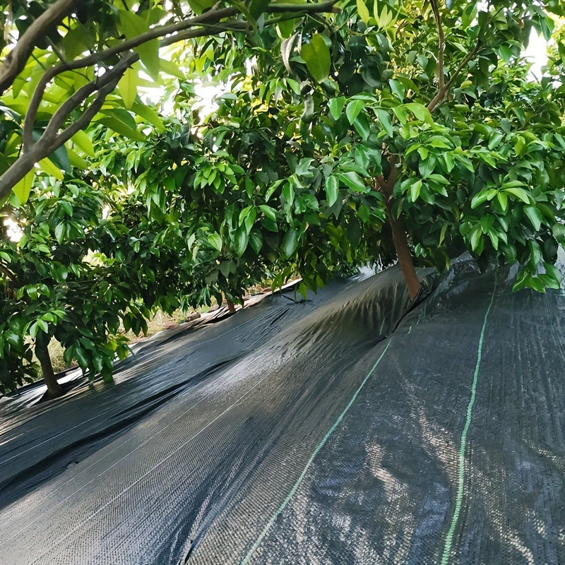 Robustes Unkrautbekämpfungsnetz, 100 g für Garten und Terrasse – Detailansicht 9