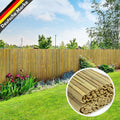 Sichtschutz, Natur für Garten – Hauptansicht