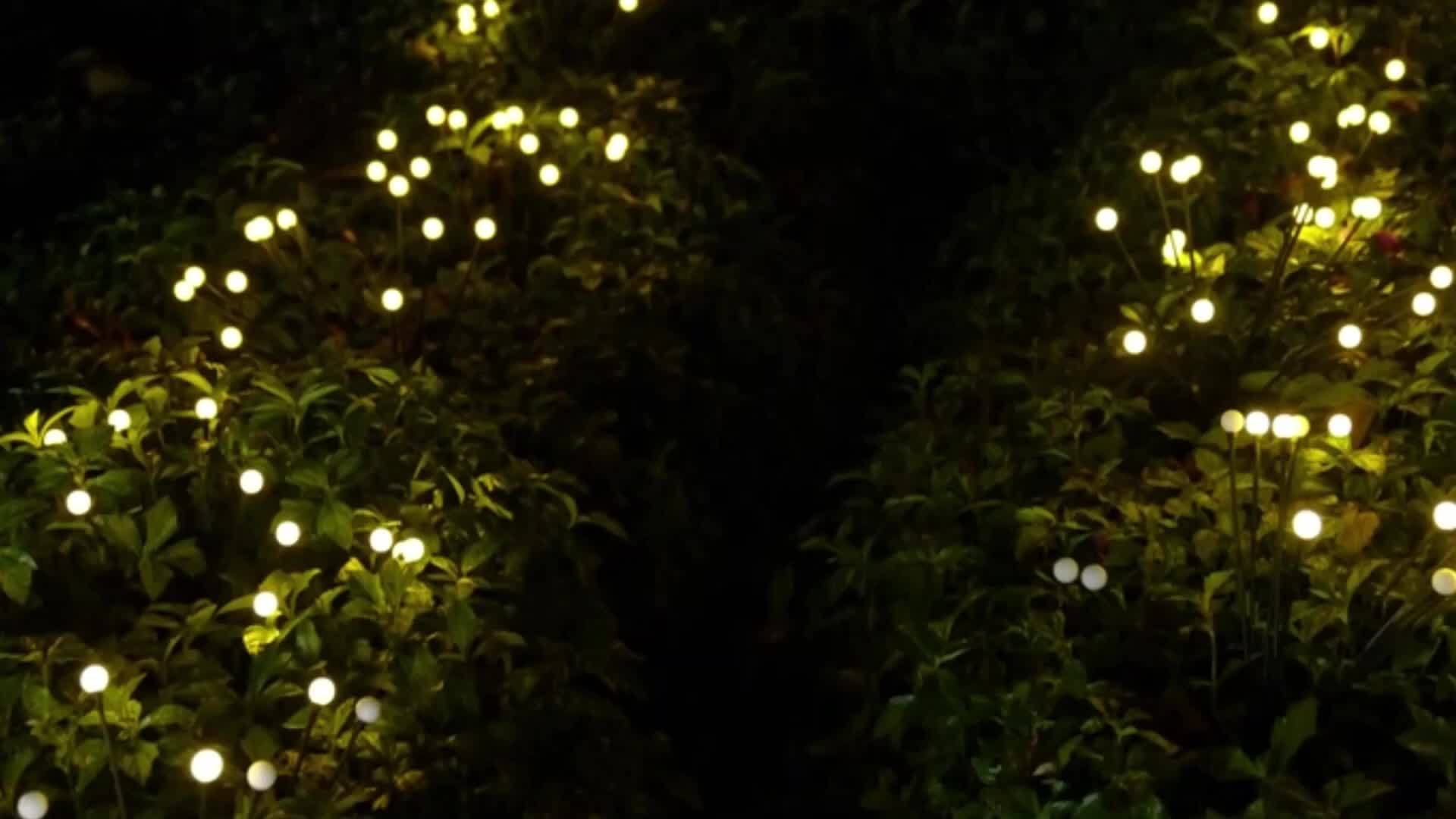 Solar-Glühwürmchen-Lichter, 800mAh für Garten und Terrasse – Detailansicht 12