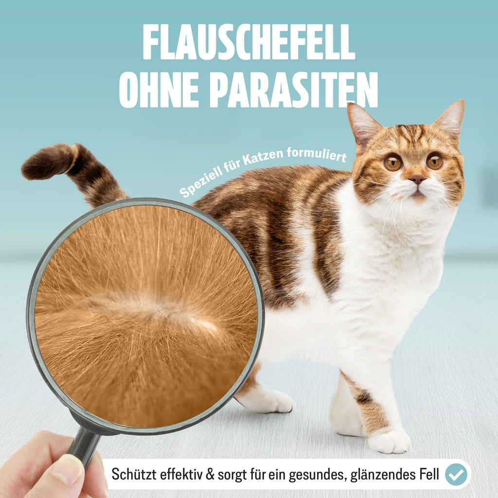 Spot on, 6x1,2 für Haustiere und Zuhause – Detailansicht 12