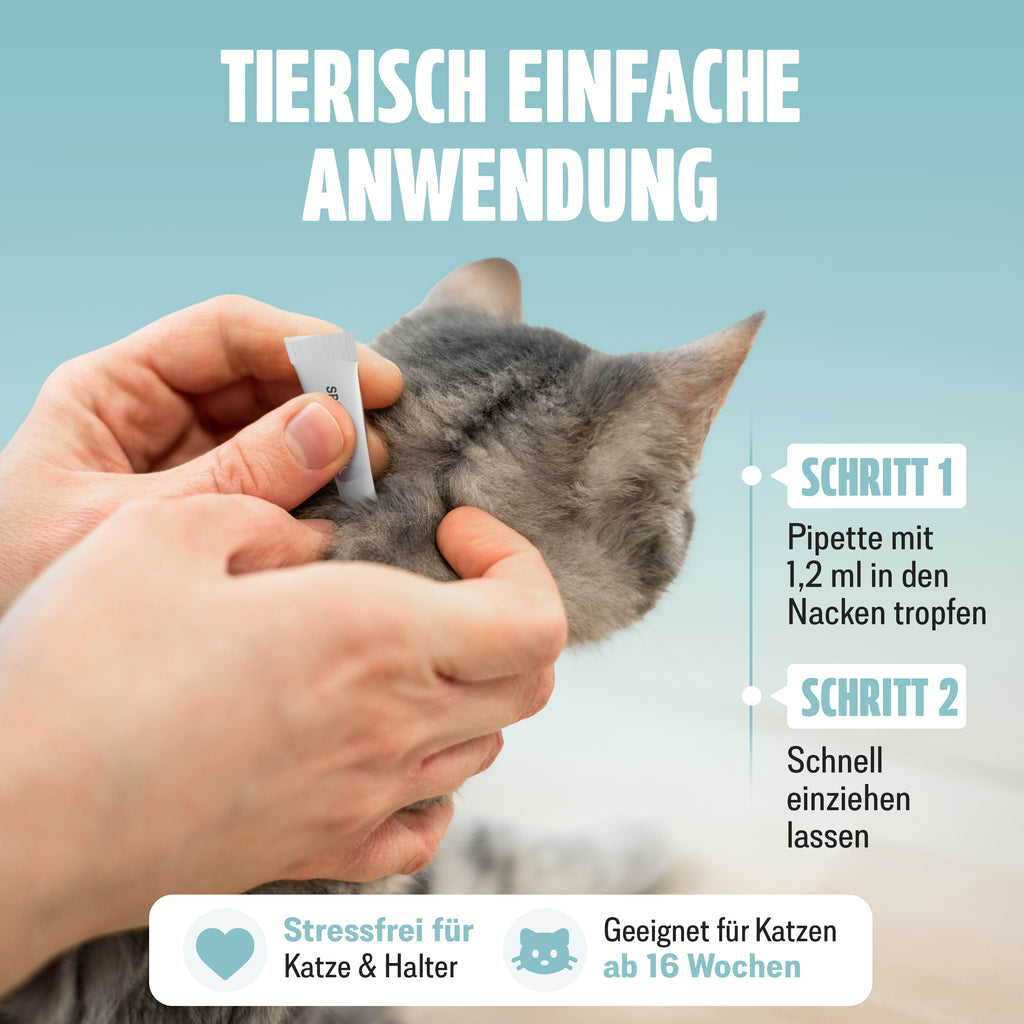 Spot on, 6x1,2 für Haustiere und Zuhause – Detailansicht 14
