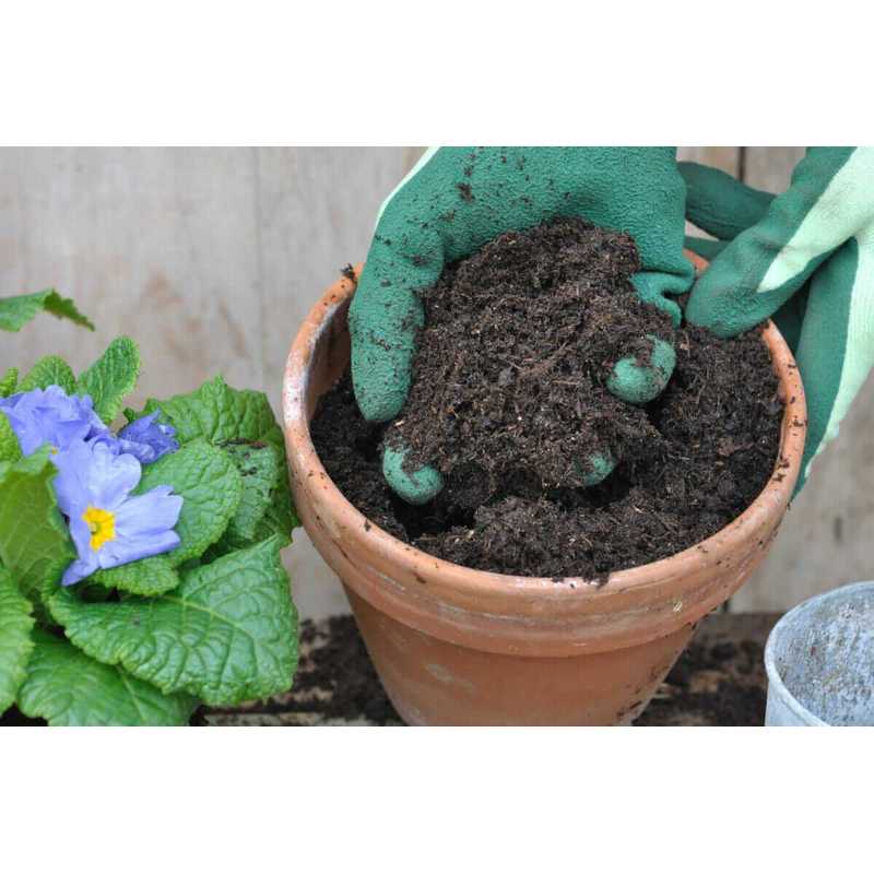 Universal Erdreich, vielfarbig für grüne Pflanzen Biovita und Garten – Detailansicht 5