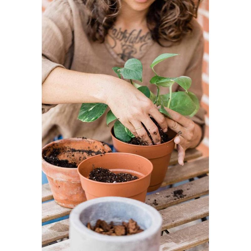 Universal Erdreich, vielfarbig für grüne Pflanzen Biovita und Garten – Detailansicht 8