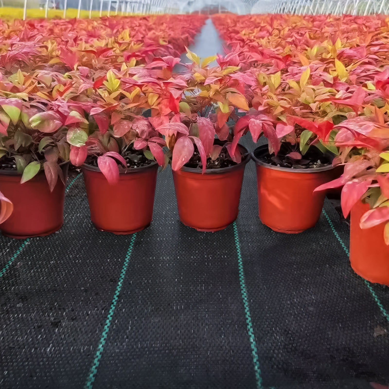 Unkrautvlies, 100g für Garten und Terrasse – Detailansicht 7